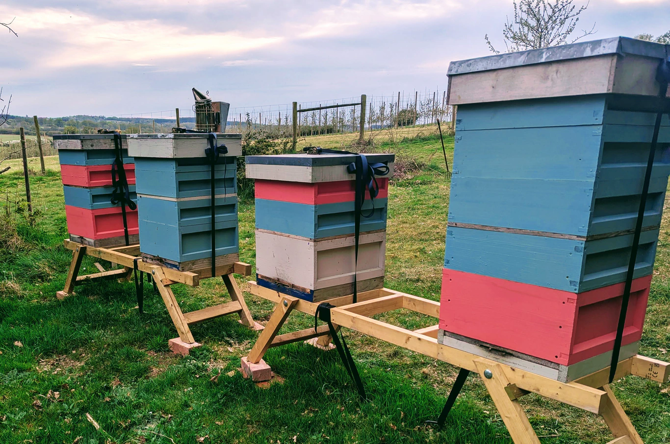 Colourful beehives in the Surrey countryside